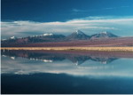 Chile - Laguna Chaxa.