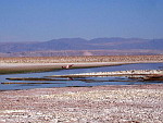 Chile - Salar de Atacama.