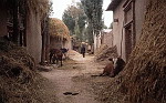 Chiny - Tiantishan, wiejska rzeczywisto��.1.