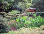 Japonia - Kioto, ogr�d botaniczny.