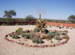 Namibia - Oaza.
