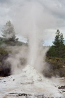 Nowa Zelandia - Rotorua, Lady Knox.