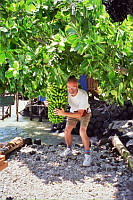 Polinezja - Wyspa Kiribati, banany.