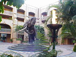 RPA - Sun City.2.