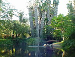 RPA - Sun City.3.