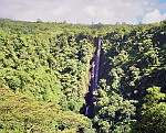 Samoa - Naturalna przyroda.