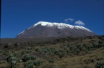 Tanzania - Kilimand�aro.