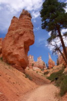 USA - Bryce Canyon.4.