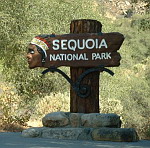 USA - Sequoia National Park.