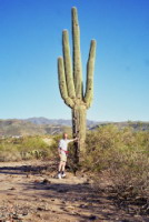 USA - W Arizonie